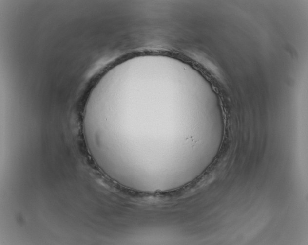 X0000110981160200907022049