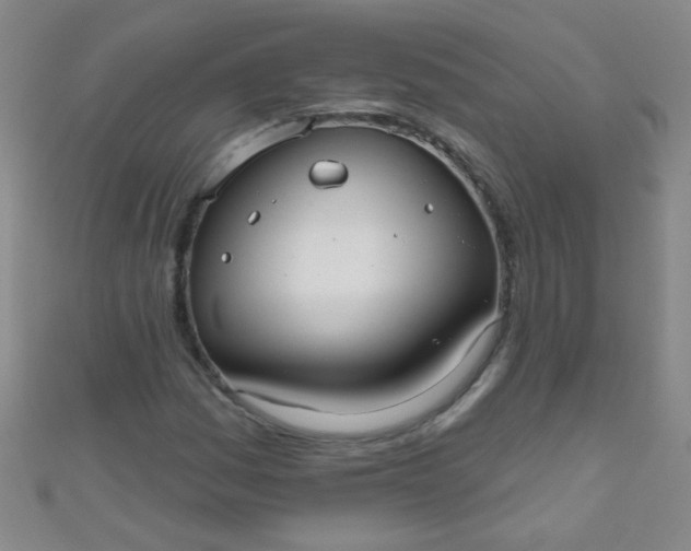 X0000110981161200907022049