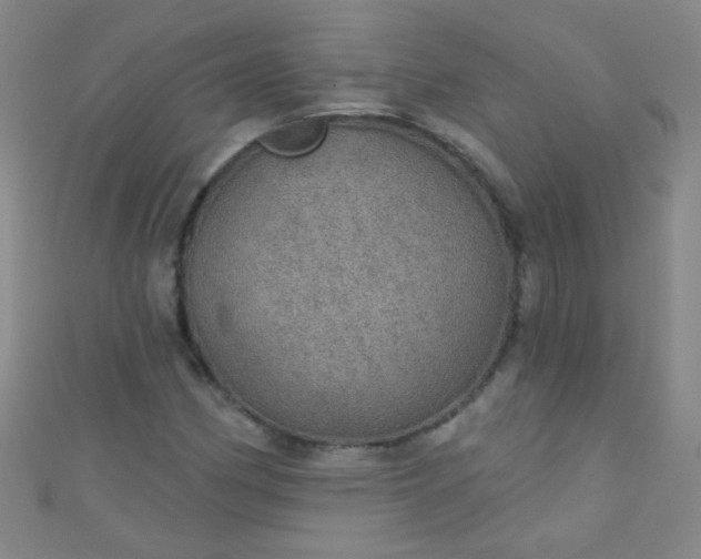 X0000110981162200907022049