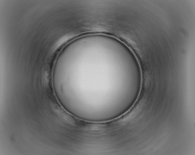 X0000110981163200907022049