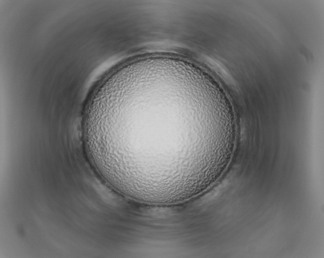 X0000110981164200907022049