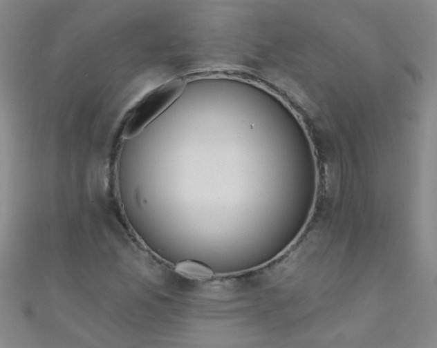 X0000110981165200907022049