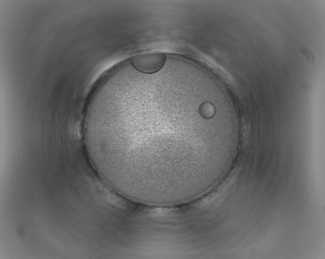 X0000110981166200907022049