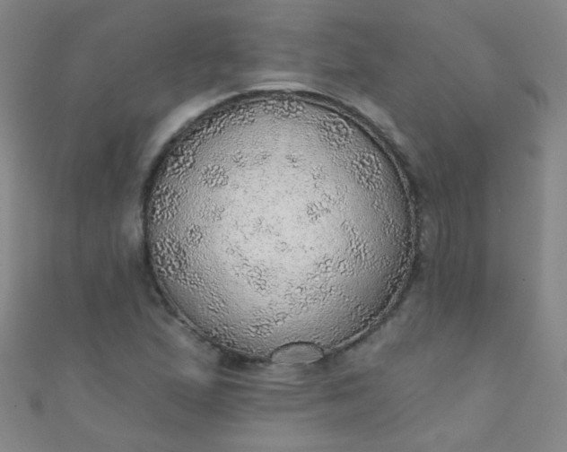 X0000110981167200907022049