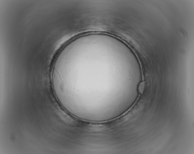 X0000110981168200907022049