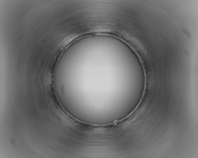 X0000110981169200907022049