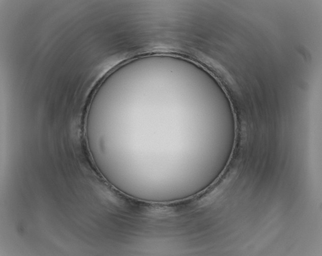 X0000110981170200907022049