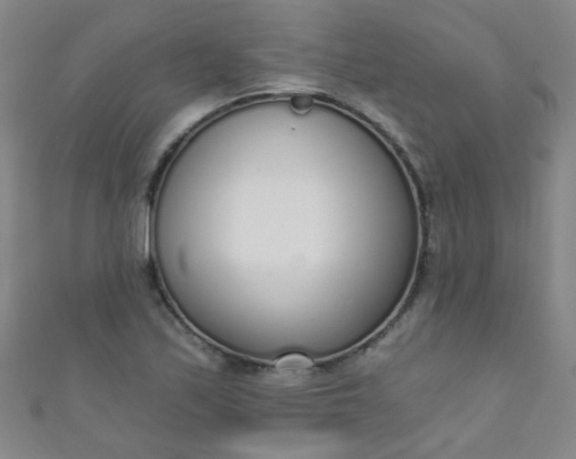 X0000110981171200907022049