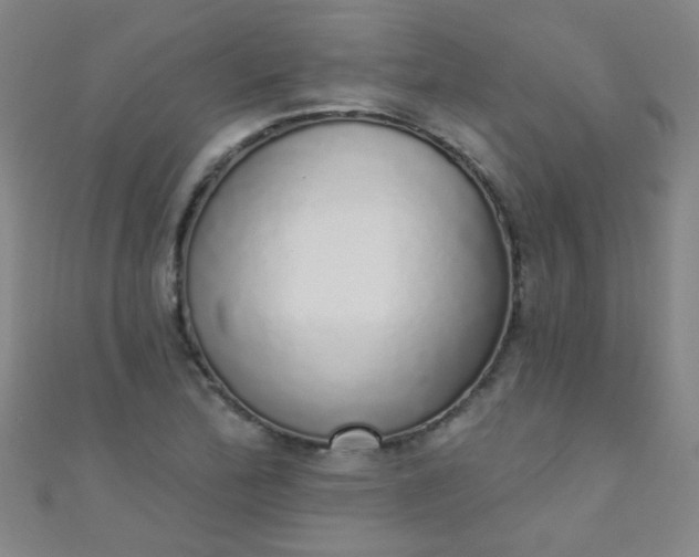 X0000110981172200907022049