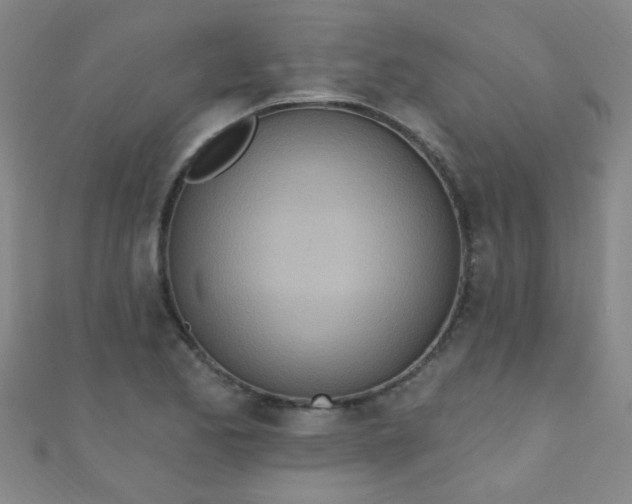 X0000110981173200907022049