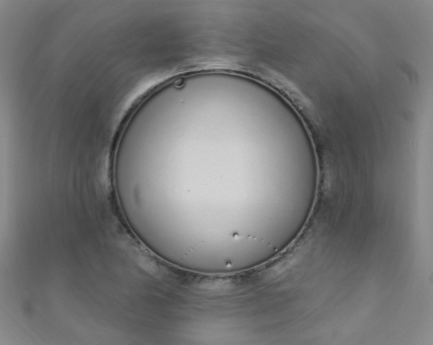 X0000110981174200907022049