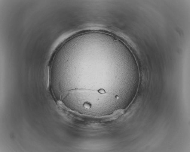 X0000110981175200907022049