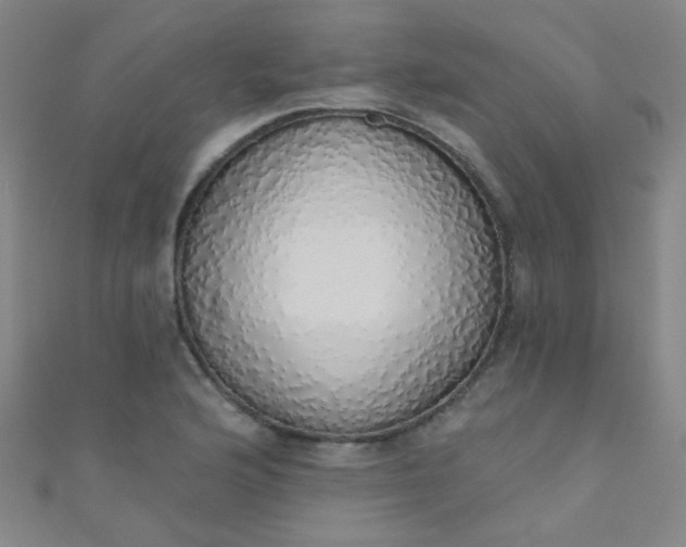 X0000110981176200907022049