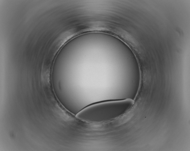 X0000110981177200907022049