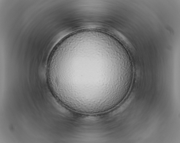 X0000110981178200907022049