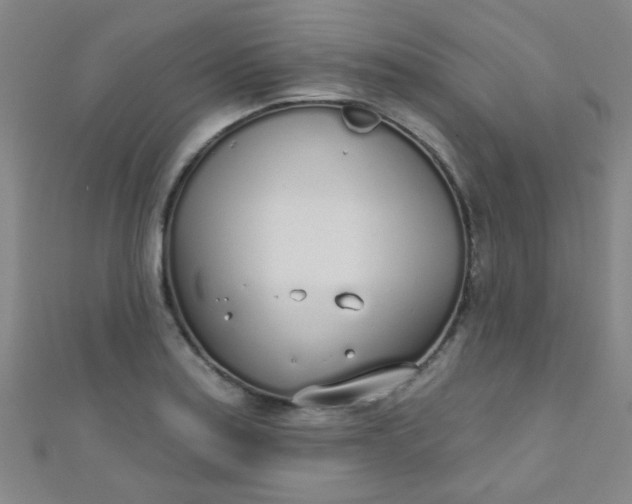 X0000110981179200907022049