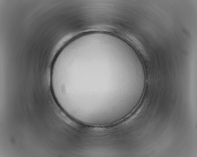 X0000110981180200907022049