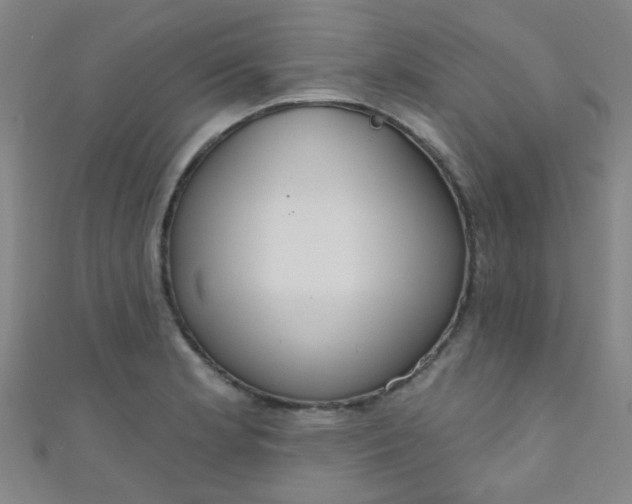 X0000110981181200907022049