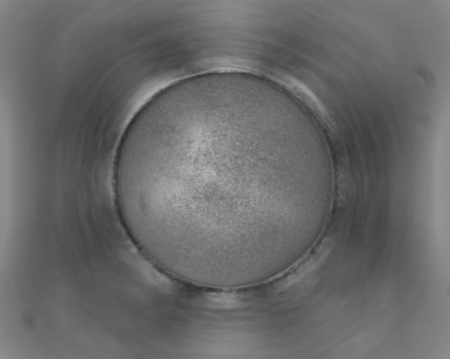 X0000110981182200907022049