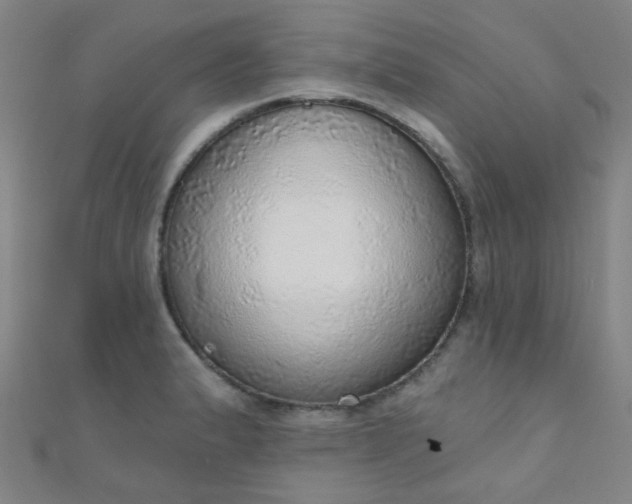 X0000110981183200907022049