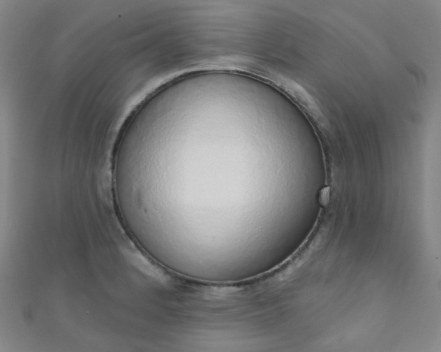 X0000110981184200907022049