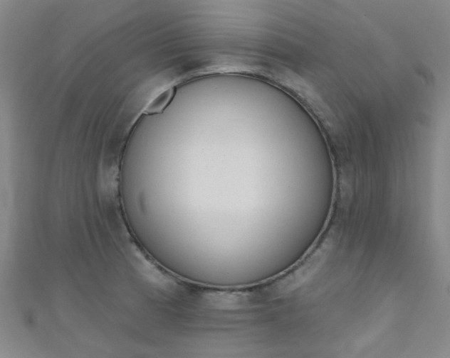 X0000110981185200907022049