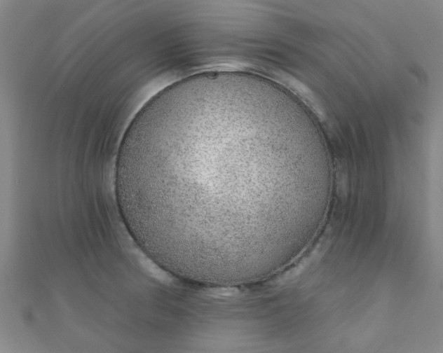 X0000110981186200907022049