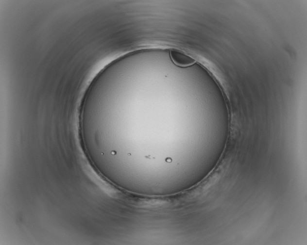 X0000110981187200907022049