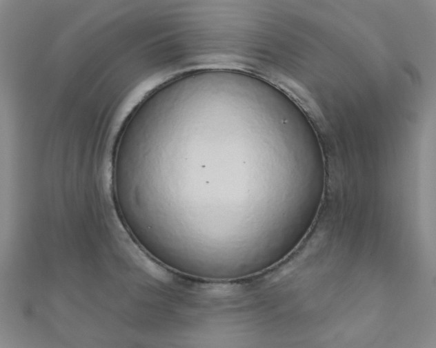 X0000110981188200907022049