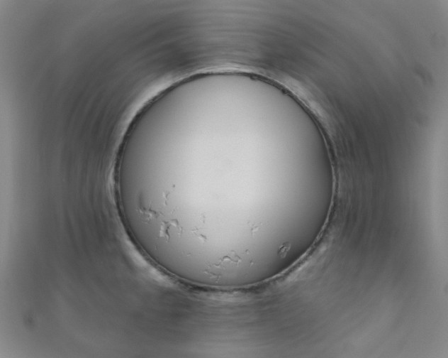 X0000110981189200907022049