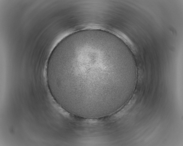 X0000110981190200907022049