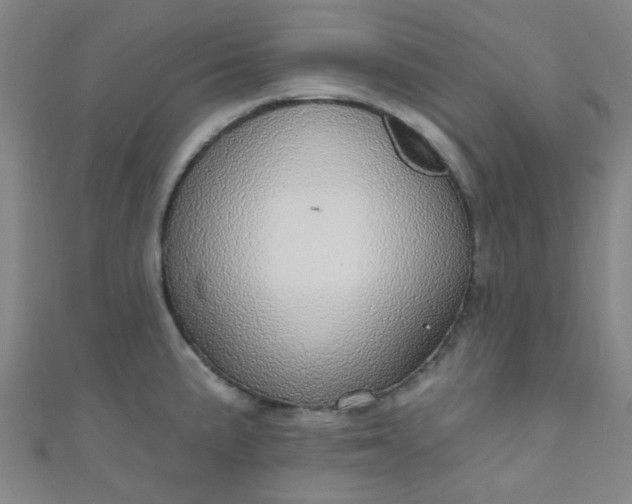 X0000110981191200907022049