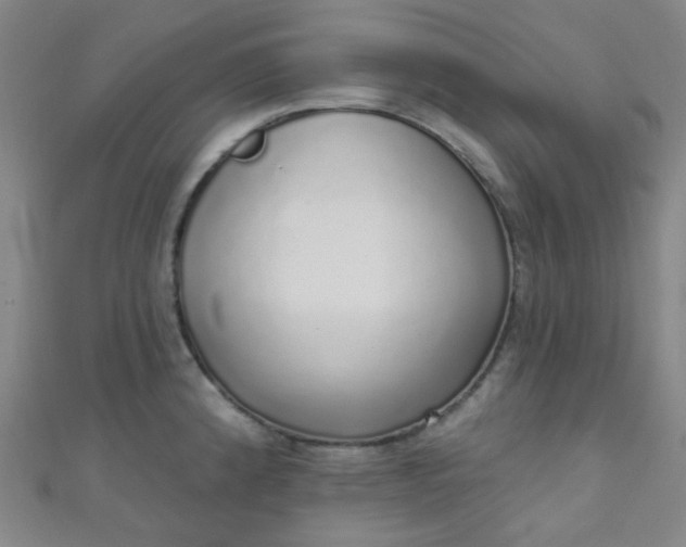 X0000110981192200907022049