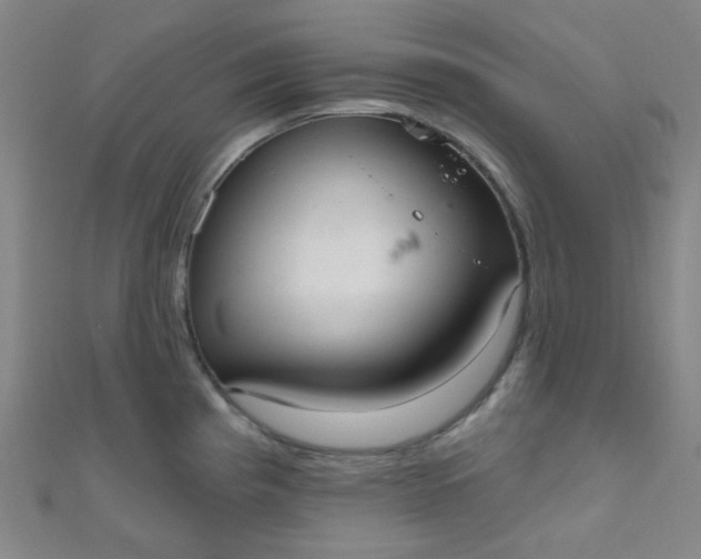 X0000110981193200907022049