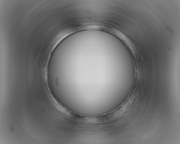 X0000110981194200907022049