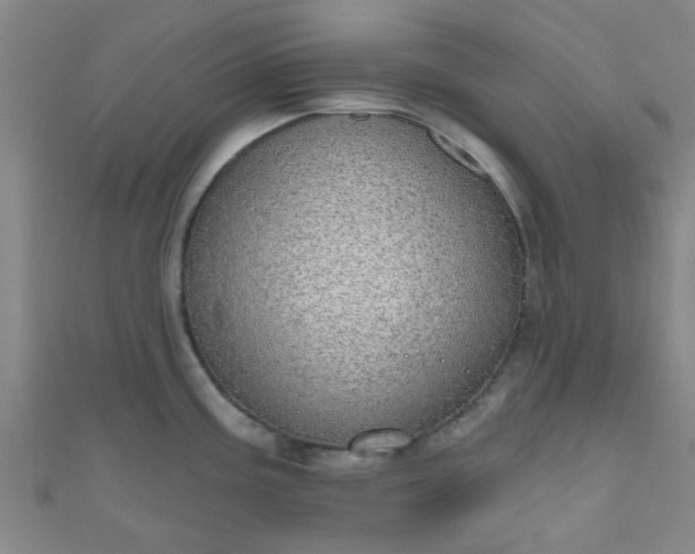 X0000110981195200907022049