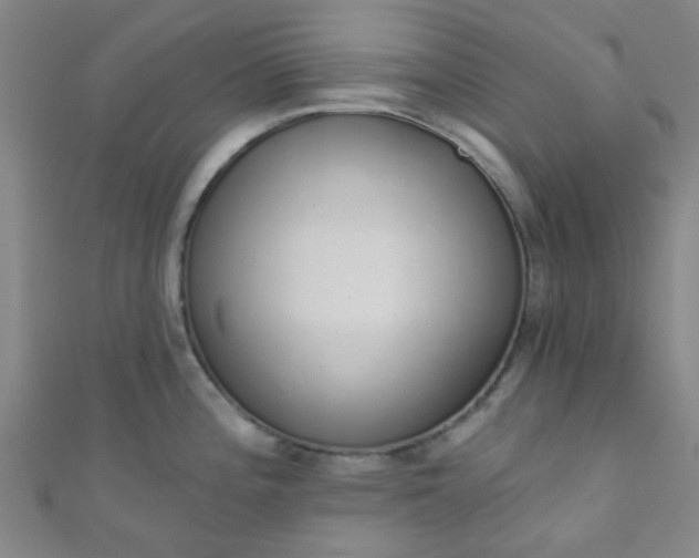 X0000110981196200907022049