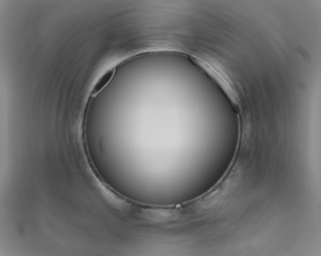 X0000110981197200907022049