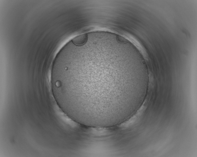 X0000110981198200907022049