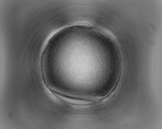 X0000110981200200907022049