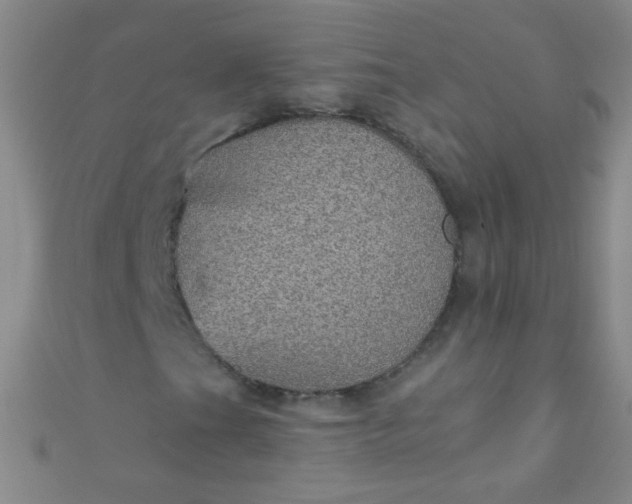 X0000110981201200907022048