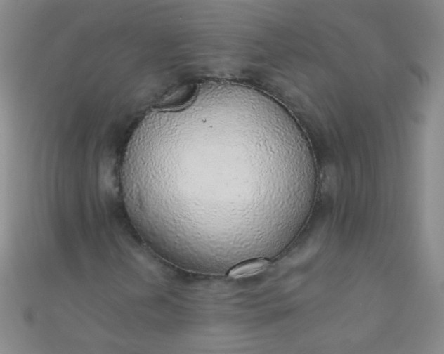 X0000110981202200907022048