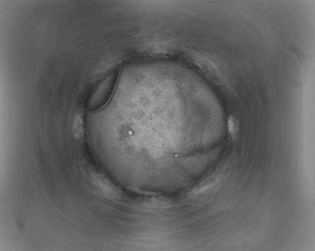 X0000110981203200907022048