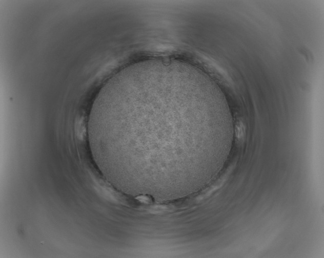 X0000110981204200907022048