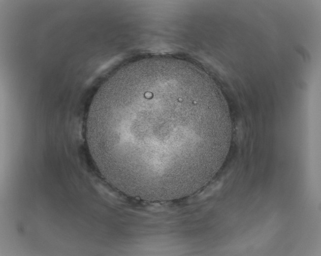 X0000110981205200907022048