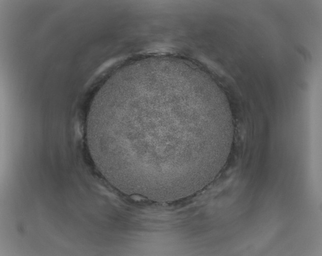 X0000110981206200907022048