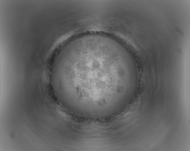 X0000110981207200907022048