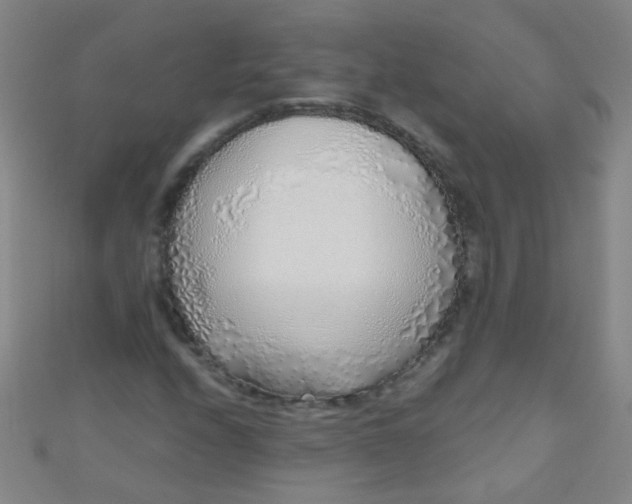 X0000110981208200907022048