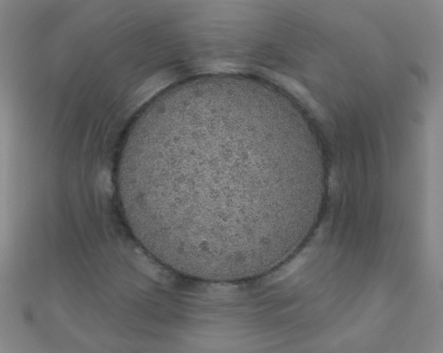 X0000110981209200907022048