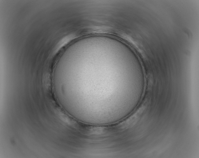 X0000110981211200907022048